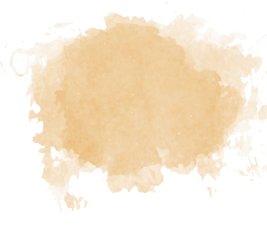 숫자